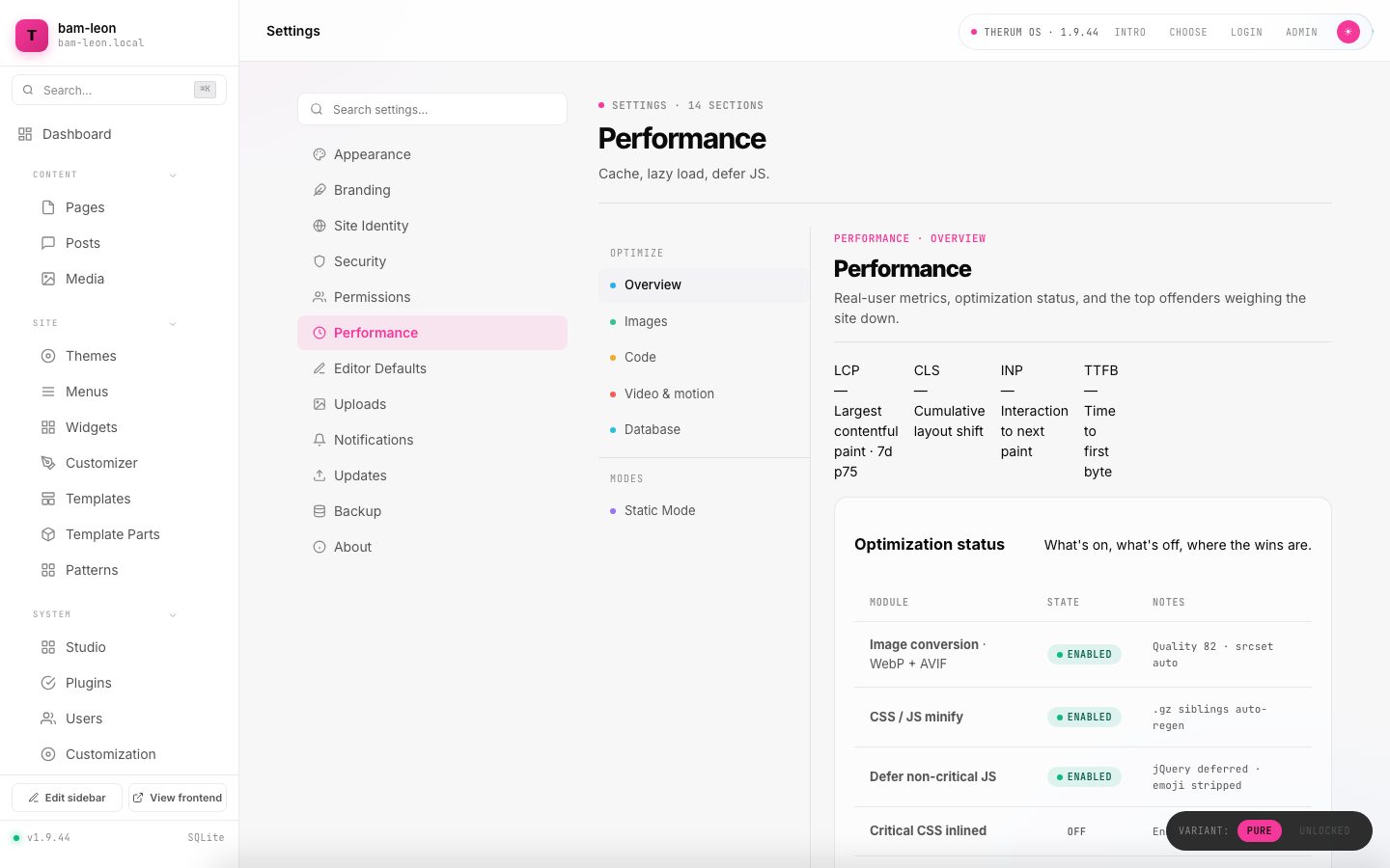 Settings, Performance in Therum OS 1.9.44: metrics and optimization status