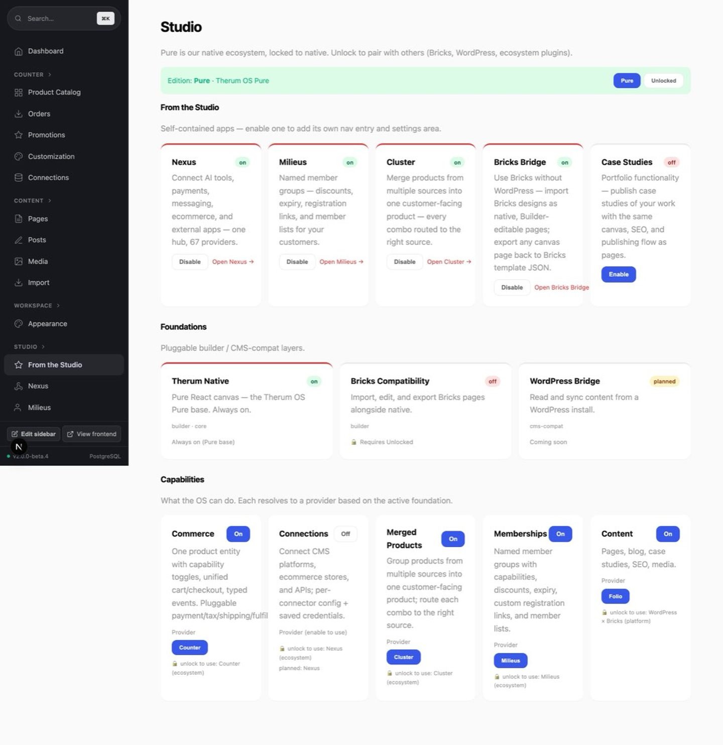 Studio in 2.0: Nexus, Milieus, Cluster, Bricks Bridge and Case Studies as apps, foundations and capabilities