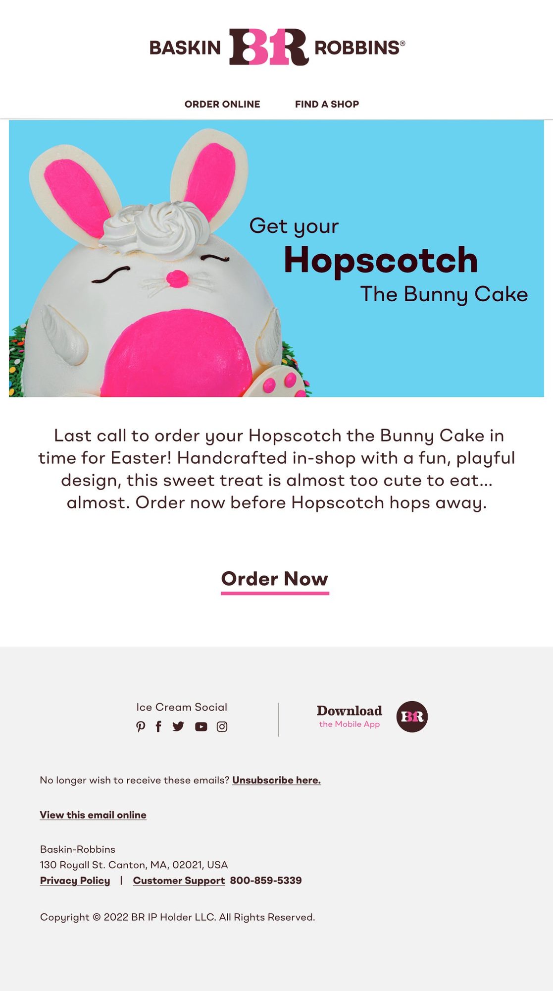 Hopscotch the Bunny Cake, 14 April
