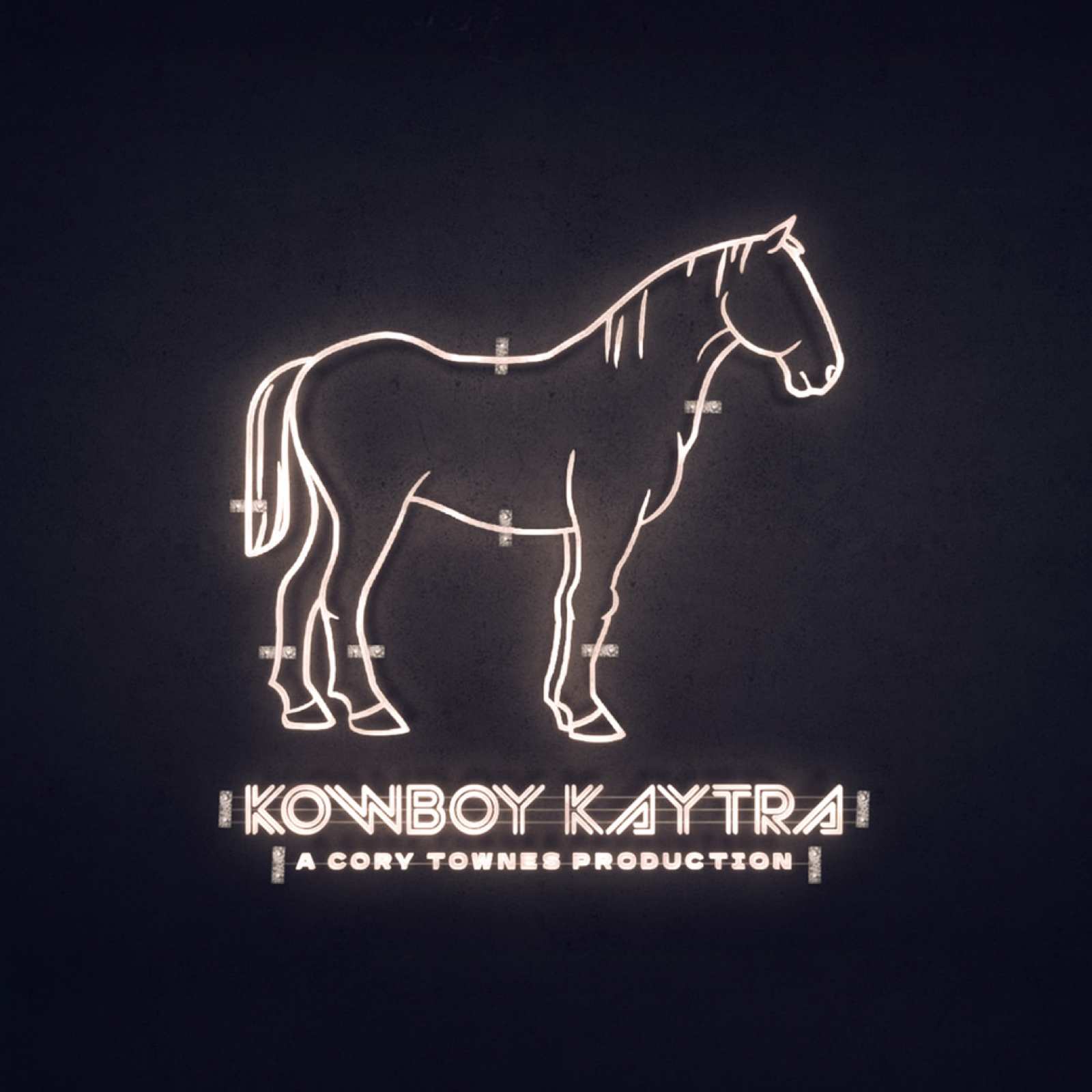 Horse cover, lit