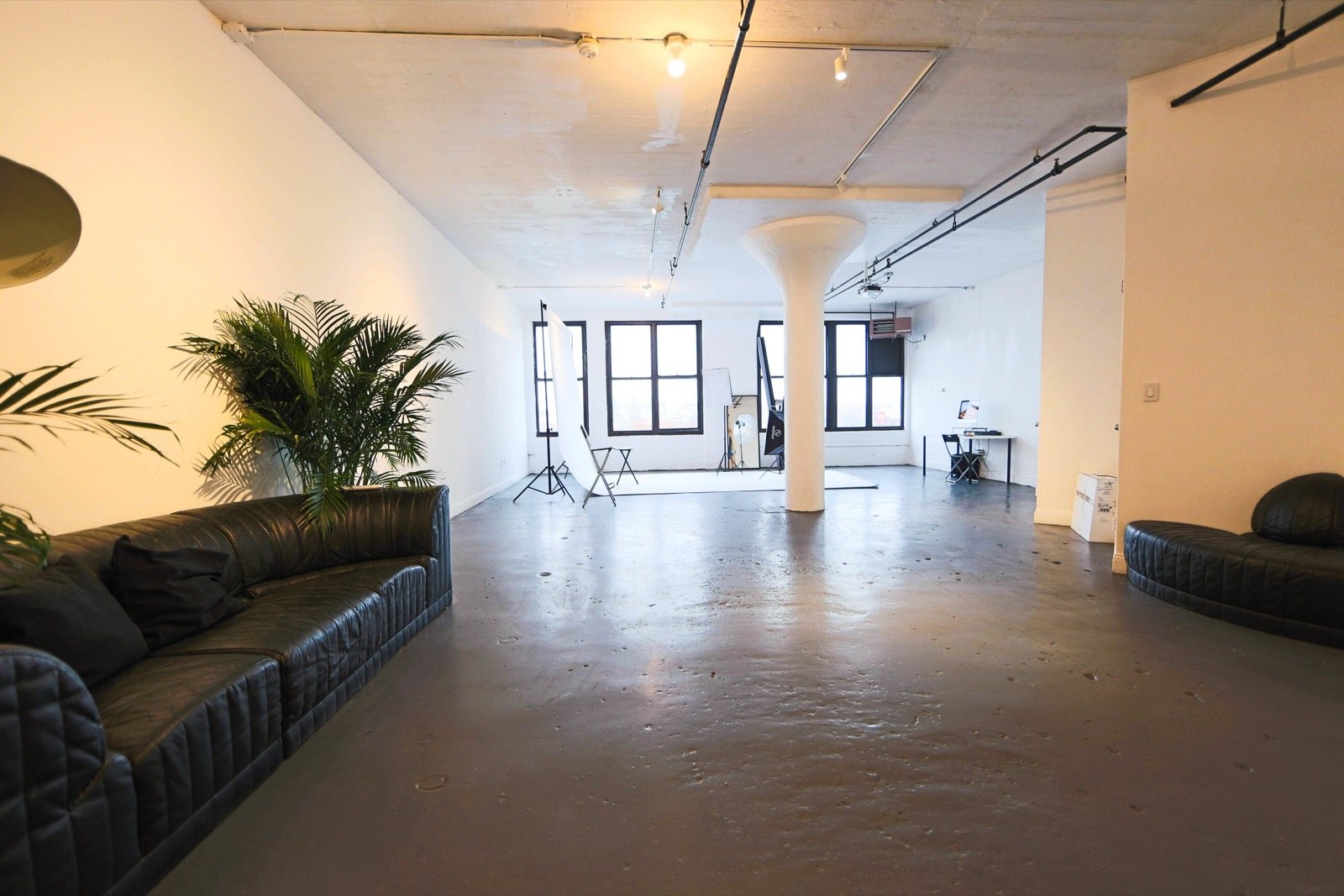 The loft lounge with a sofa and a plant
